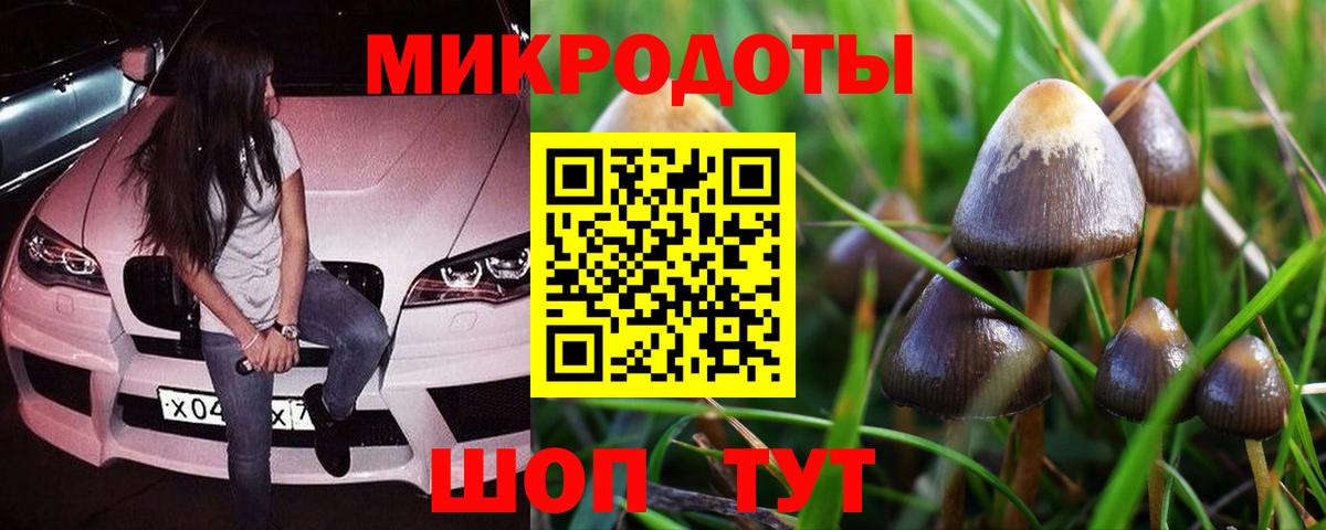 Псилоцибиновые грибы мухоморы  Вход с VPN  Анапа  Галлюциногенные грибы MAGIC MUSHROOMS 